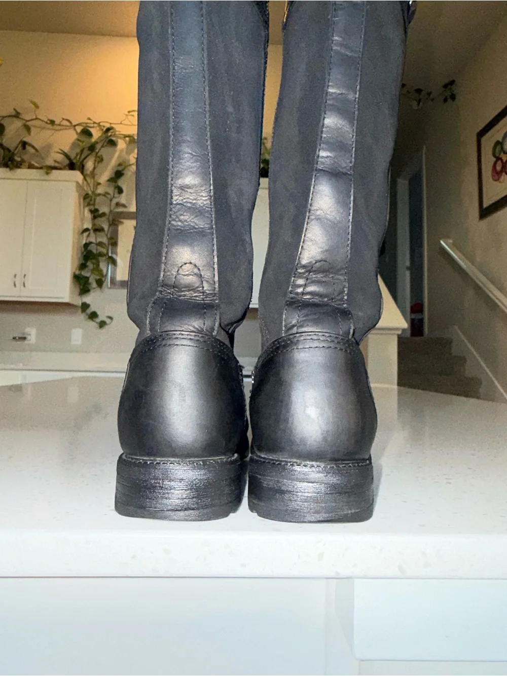 Ariat silver black classic